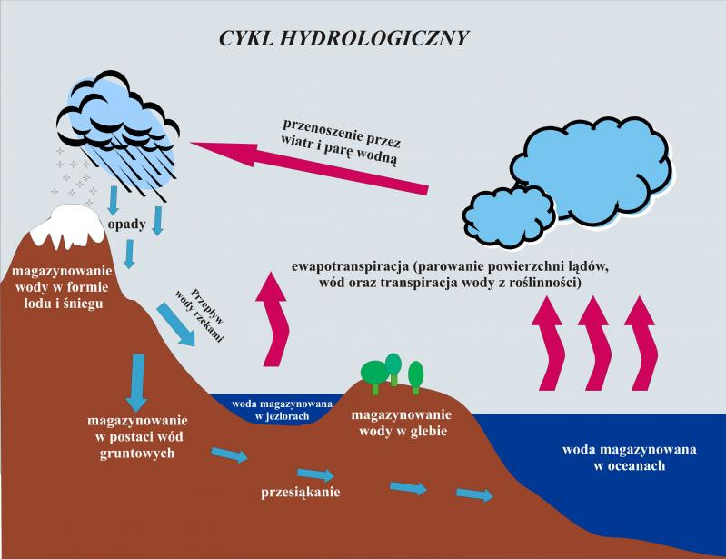 800_cykl-hydrologiczny_01.jpg