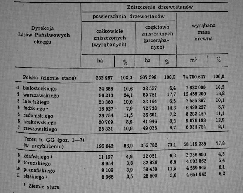 800_Lasy_straty_II_wojna_01.JPG