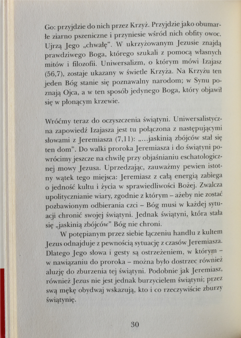 800_Benedykt_XVI._02.JPG